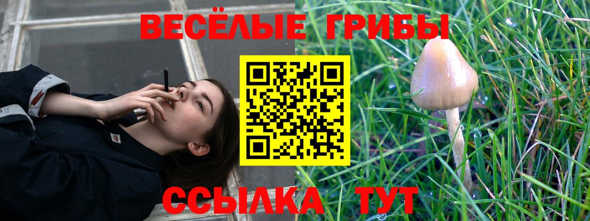 Псилоцибиновые грибы Magic Shrooms  Вход с VPN  цены   Тимашёвск 